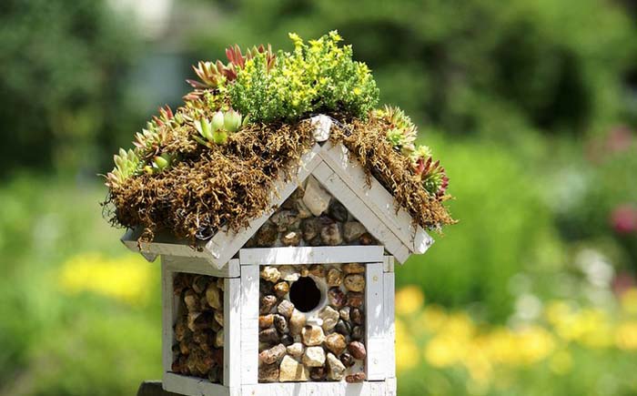 25 доступных идей оформления двора на зависть всем соседям