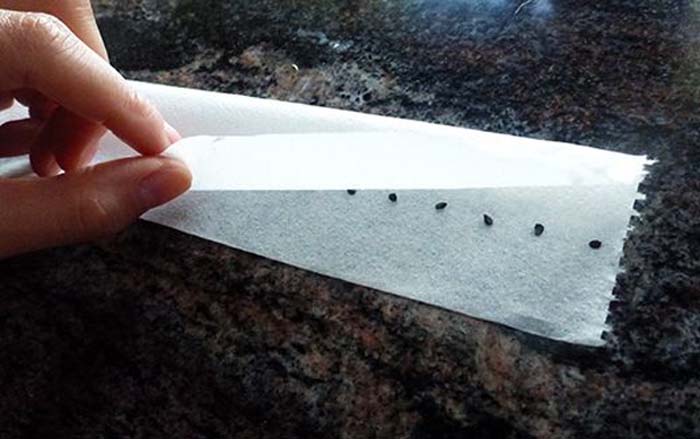 25 доступных идей оформления двора на зависть всем соседям