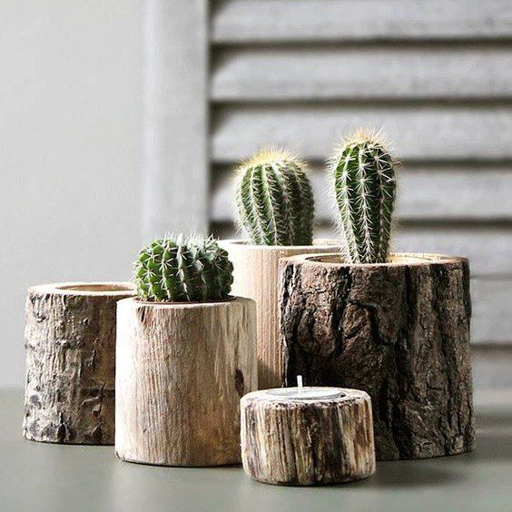 30 отличных примеров размещения цветов для дома и дачи