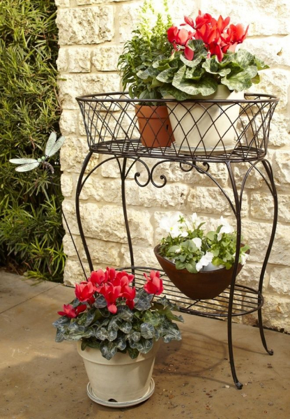 30 отличных примеров размещения цветов для дома и дачи