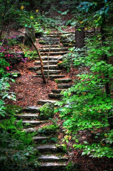 40 Потрясающих примеров лестниц и ступенек в саду