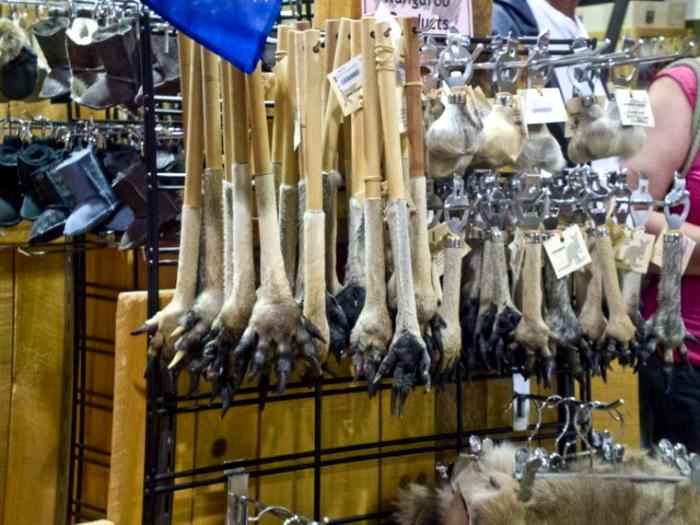 7 безобидных вещей, которые нельзя вывозить в багаже (в каких странах действуют запреты)