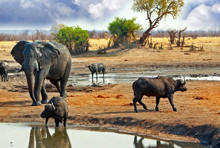 Достопримечательности Зимбабве: список, фото и описание