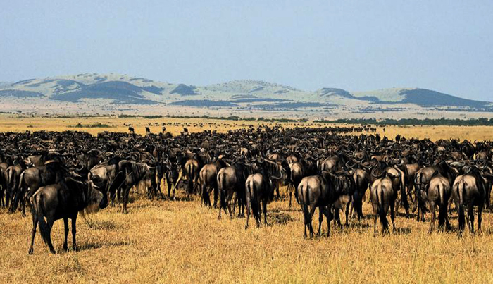 Главные достопримечательности Мали: фото и описание