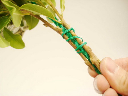 Как сделать букет цветов из купюр (денег)