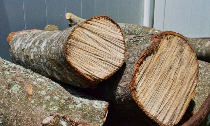 Как сделать деревянную садовую дорожку своими руками