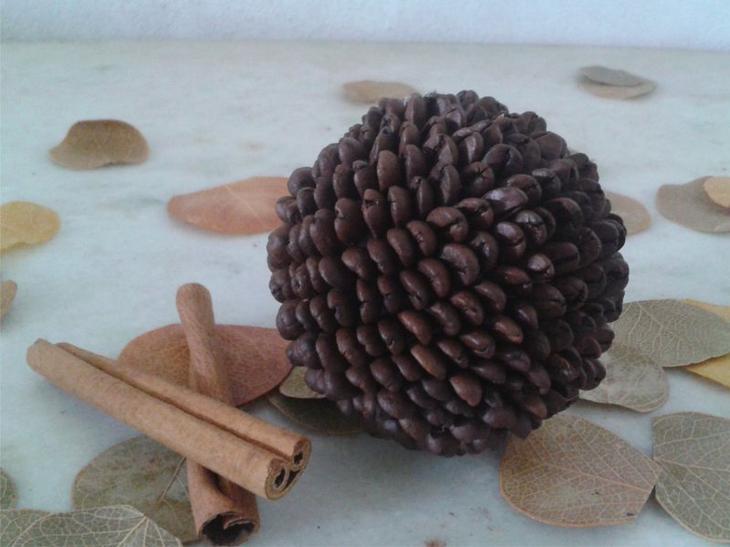 Как сделать топиарий из кофе