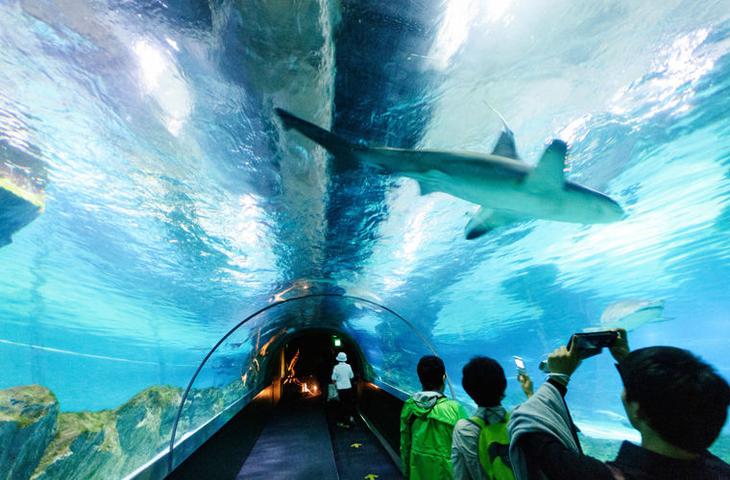 Корея: 11 лайфхаков для путешественников