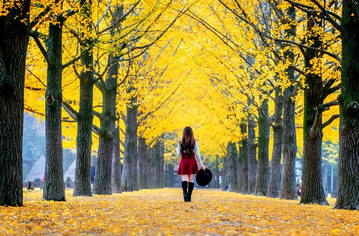 Корея: 11 лайфхаков для путешественников