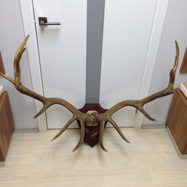 Настенная вешалка в прихожей: поделки своими руками и необычные идеи