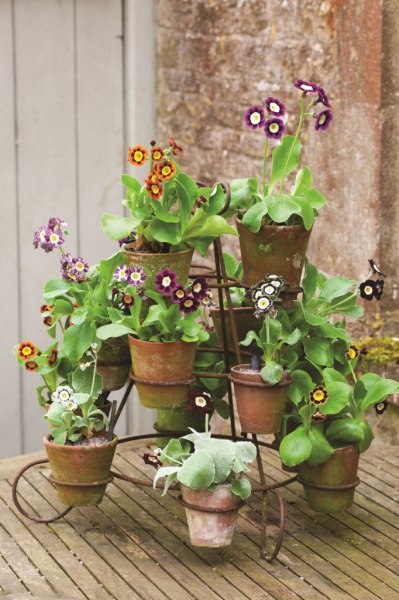 Необычные подставки для цветов: 22 отличные идеи