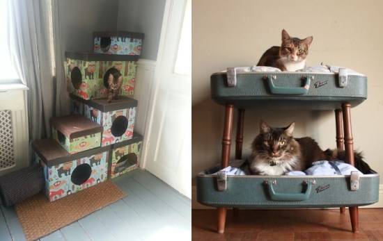 Обустройство места для животного в квартире