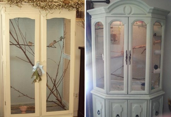 Обустройство места для животного в квартире