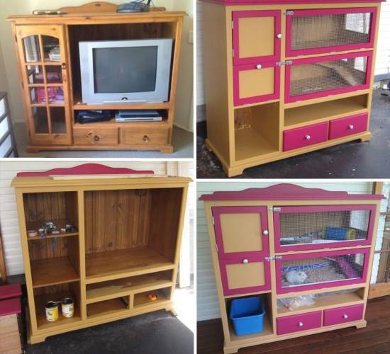 Обустройство места для животного в квартире