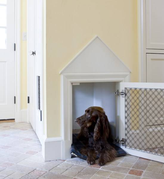 Обустройство места для животного в квартире