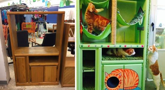 Обустройство места для животного в квартире