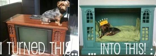 Обустройство места для животного в квартире