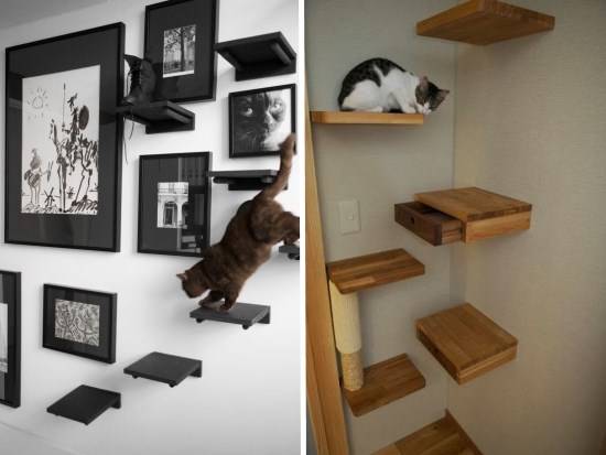 Обустройство места для животного в квартире