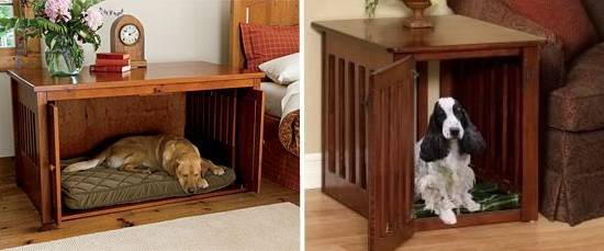 Обустройство места для животного в квартире