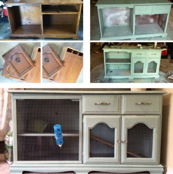 Обустройство места для животного в квартире