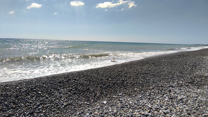 Очень жадная и некомфортная страна: разгромный отзыв об Абхазии