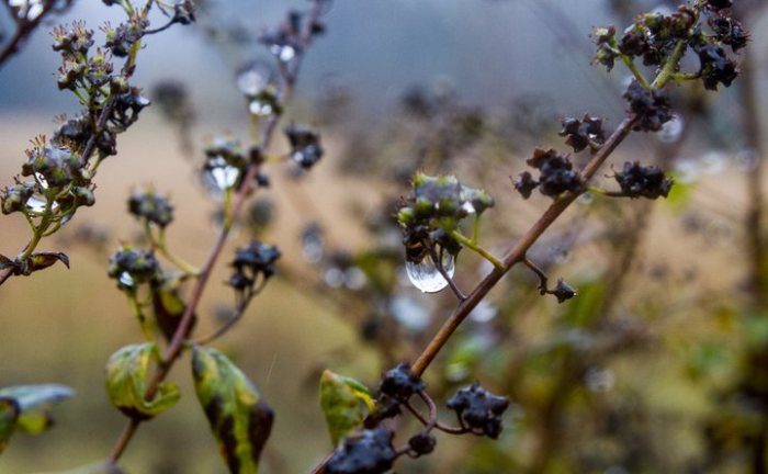 Разоблачаем 9 популярных мифов о погоде