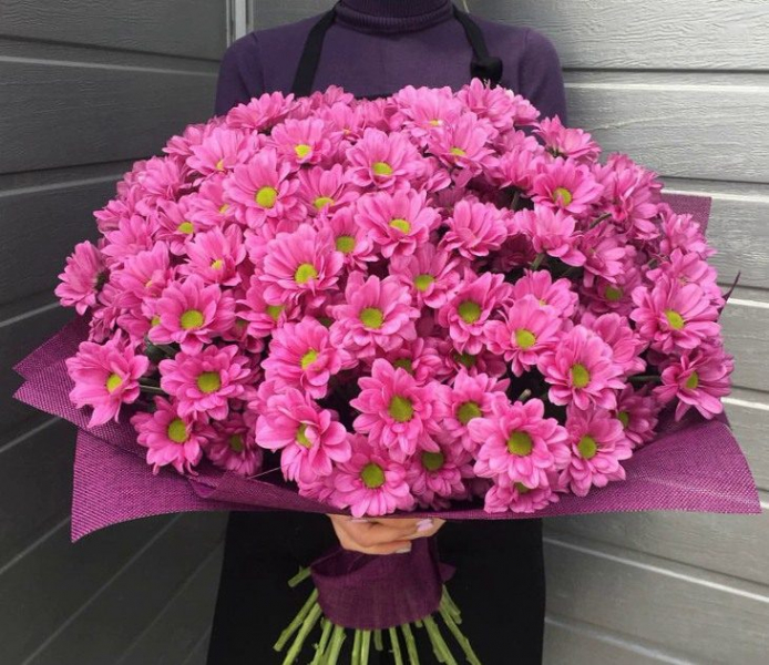 Съешь дурака, или 10 забавных национальных особенностей чехов