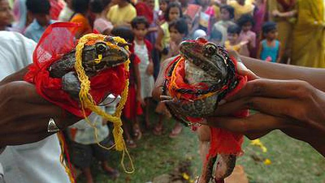 Такая разная и такая интересная: 20 невероятных индийских традиций