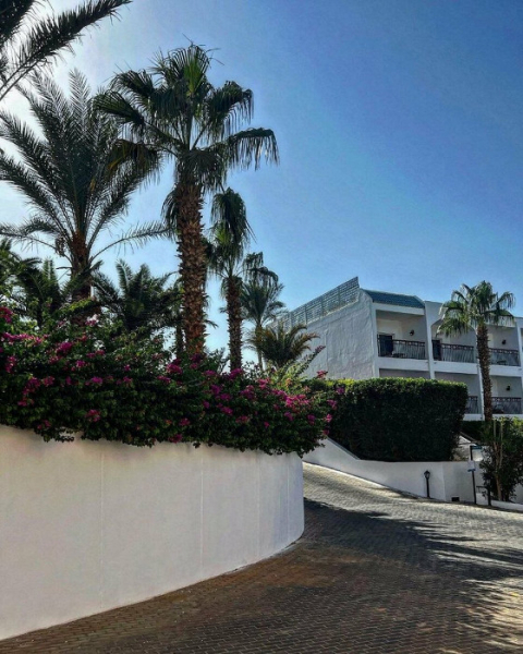 Такой наглой обдираловки я еще нигде не встречала: гневный отзыв об отдыхе в Египте