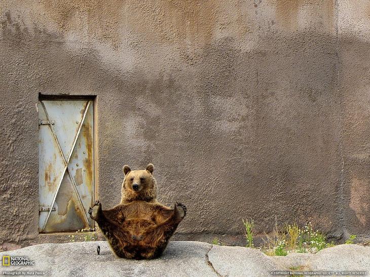 Удивительные виды Земли