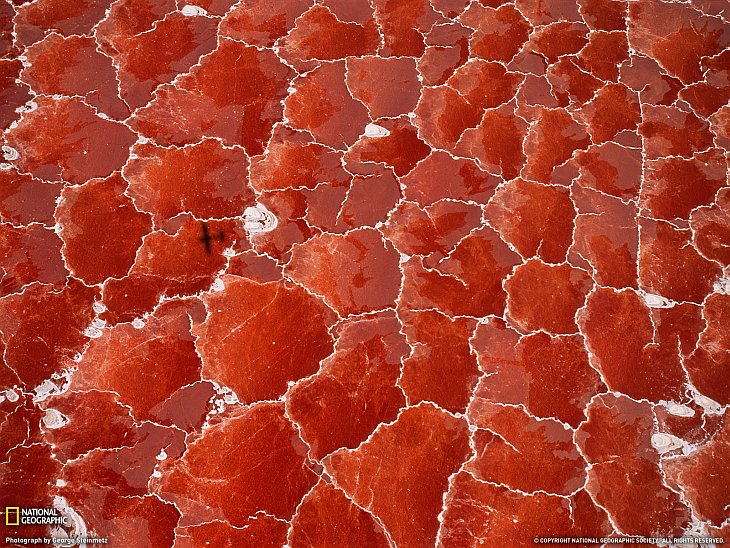 Удивительные виды Земли