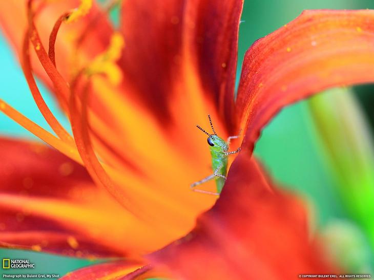 Удивительные виды Земли