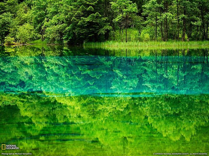 Удивительные виды Земли