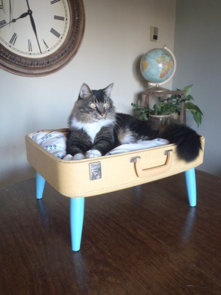 Винтажный чемодан в интерьере