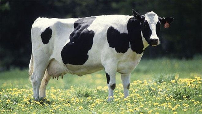 13 необычных предметов прилетевших к нам из космоса