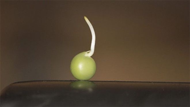 13 необычных предметов прилетевших к нам из космоса