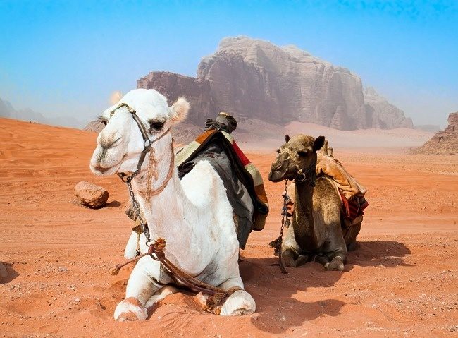 14 знаменитых кинематографических мест мира, которые вы можете посетить