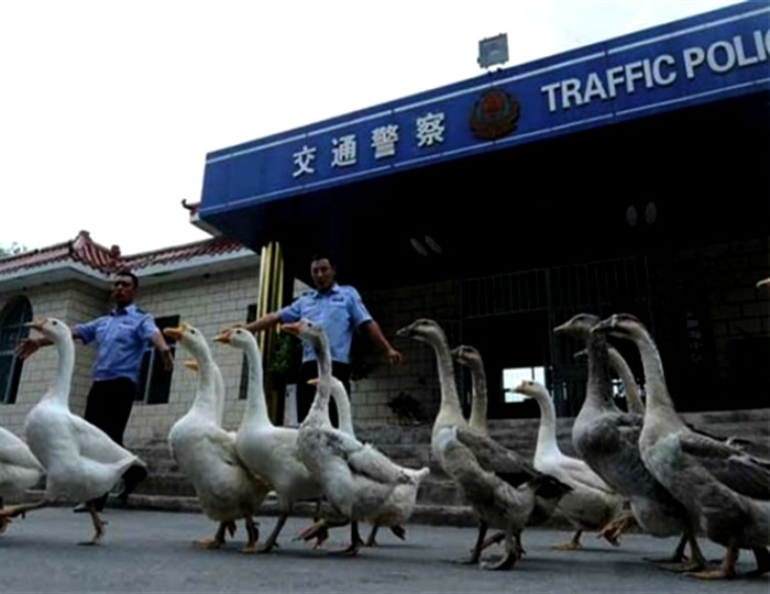 16 секретов о Китае, о которых обязательно стоит разузнать перед приездом