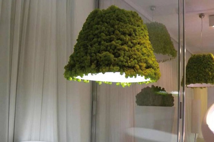 20 способов озеленения квартиры, которые создадут особый микроклимат