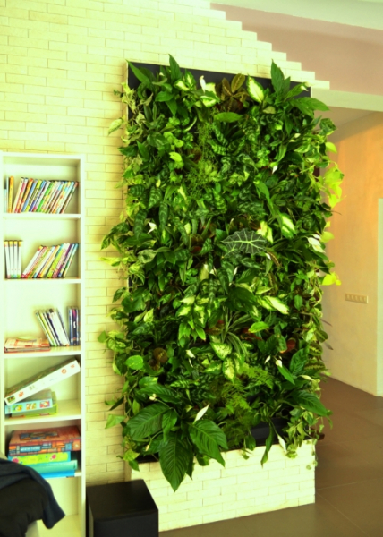 20 способов озеленения квартиры, которые создадут особый микроклимат