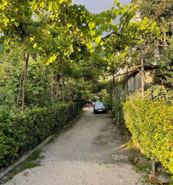 Бешеная скорость на дорогах, отсутствие гостеприимства и 4 дня в койке с ротавирусом: отзыв об Абхазии