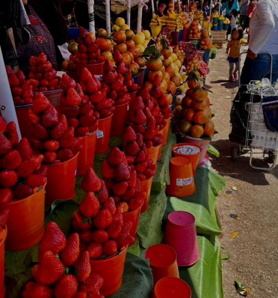 Дешевая жизнь, отсутствие многоквартирных домов и чуткие люди: отзыв о переезде в Мексику