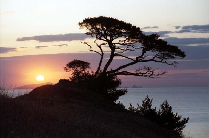 Достопримечательности Приморского края