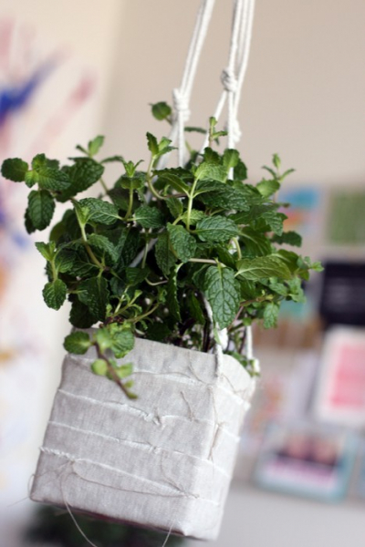 Интересное применение коробкам от молочных продуктов и сока