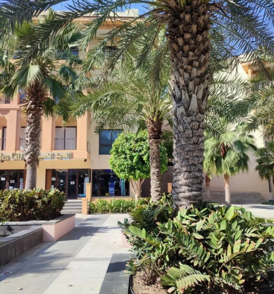 «Лучше Дубая для туриста нет ничего!»: гневный отзыв об отдыхе в Фуджейре