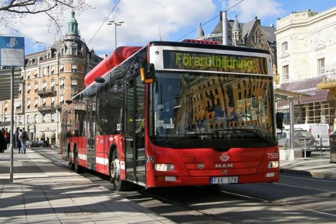 Особенности поведения в разных странах