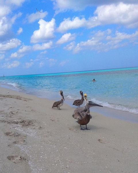 «Пандемия, конфликты, кризисы — все это где-то там»: восторженный отзыв о Кубе