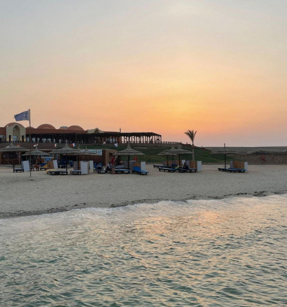 Так должно быть во всех отелях Египта: восторженный отзыв о Марса-Аламе