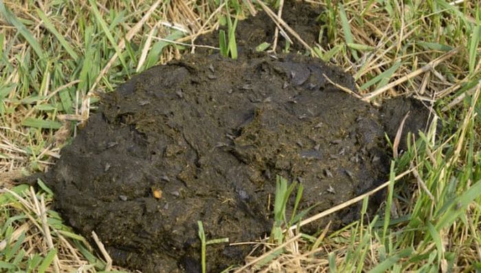 10 фактов о древнем Риме, о которых не рассказывают в школе