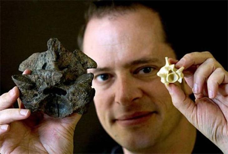 10 гигантских ископаемых животных